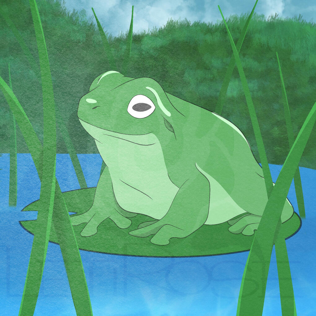 Peace Frog